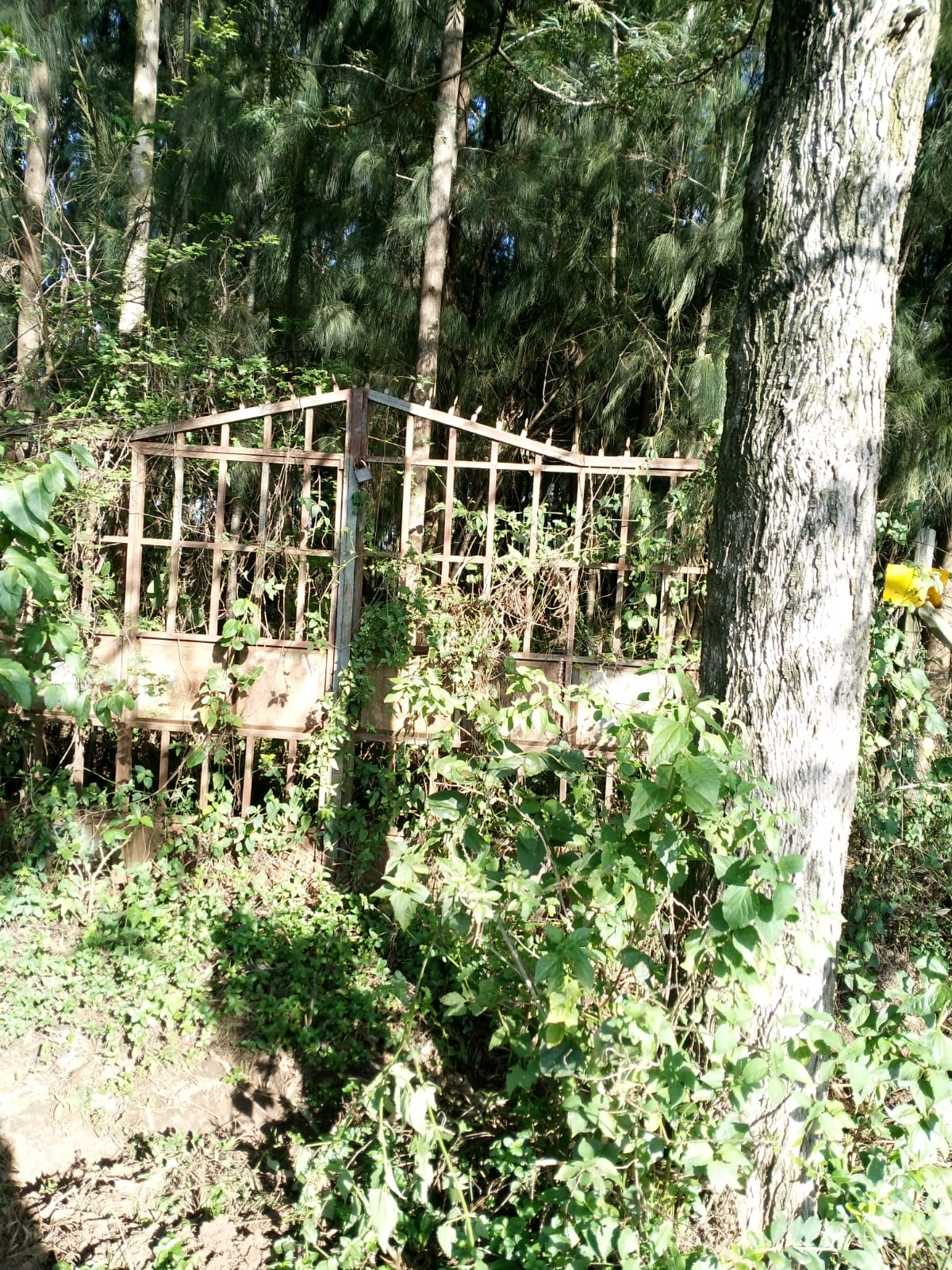 2 acre land for sale