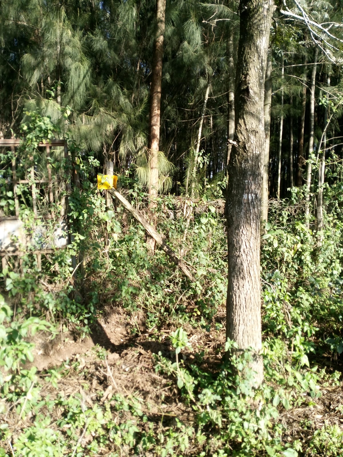 2 acre land for sale