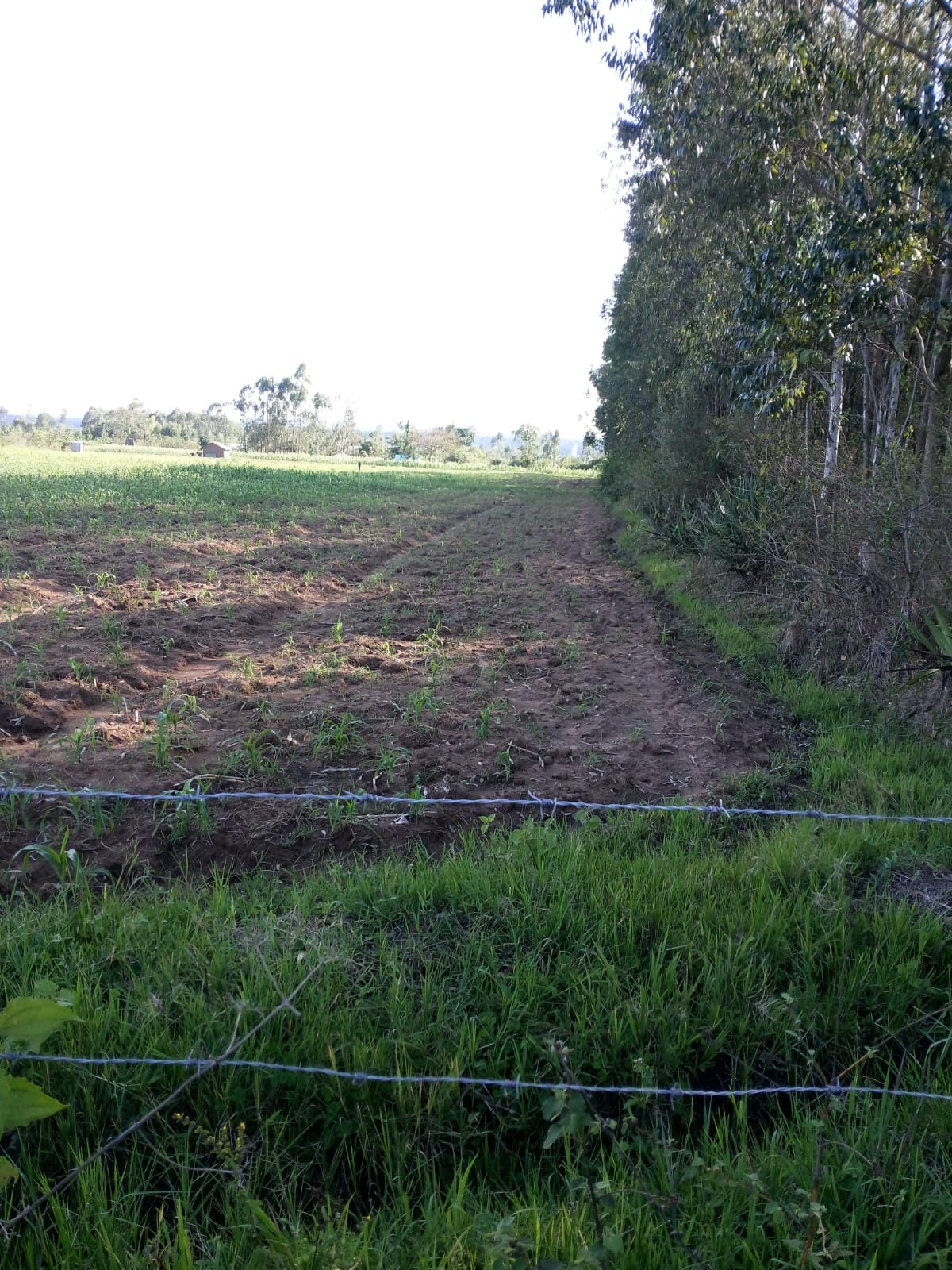 2 acre land for sale