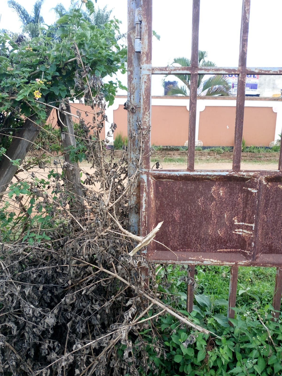 Slightly over quarter acre land