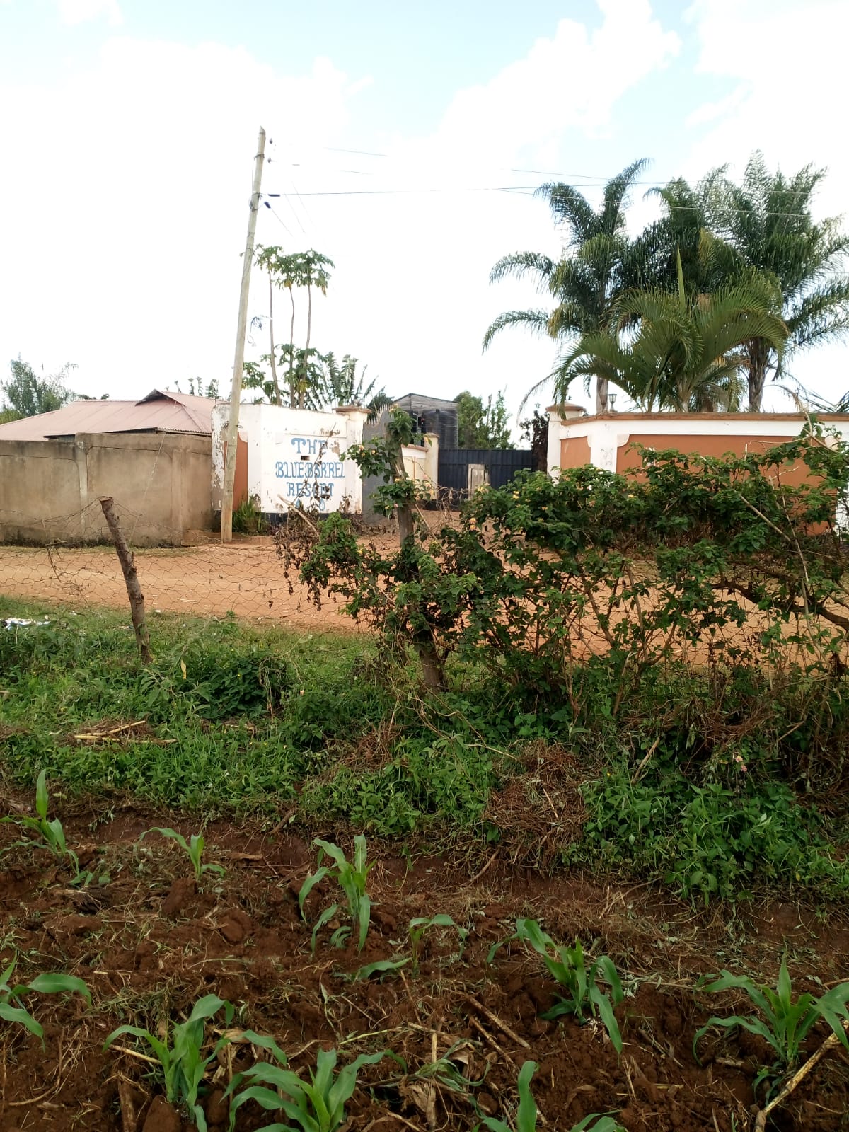 Slightly over quarter acre land