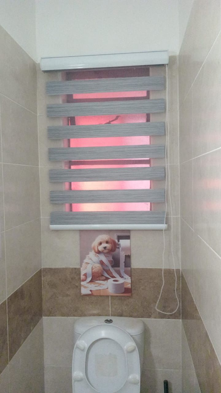 Zebra roller window blinds