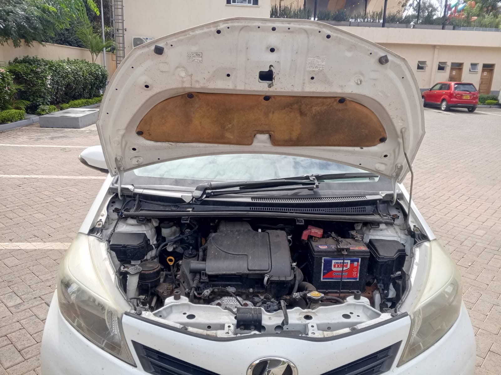 Toyota vitz
