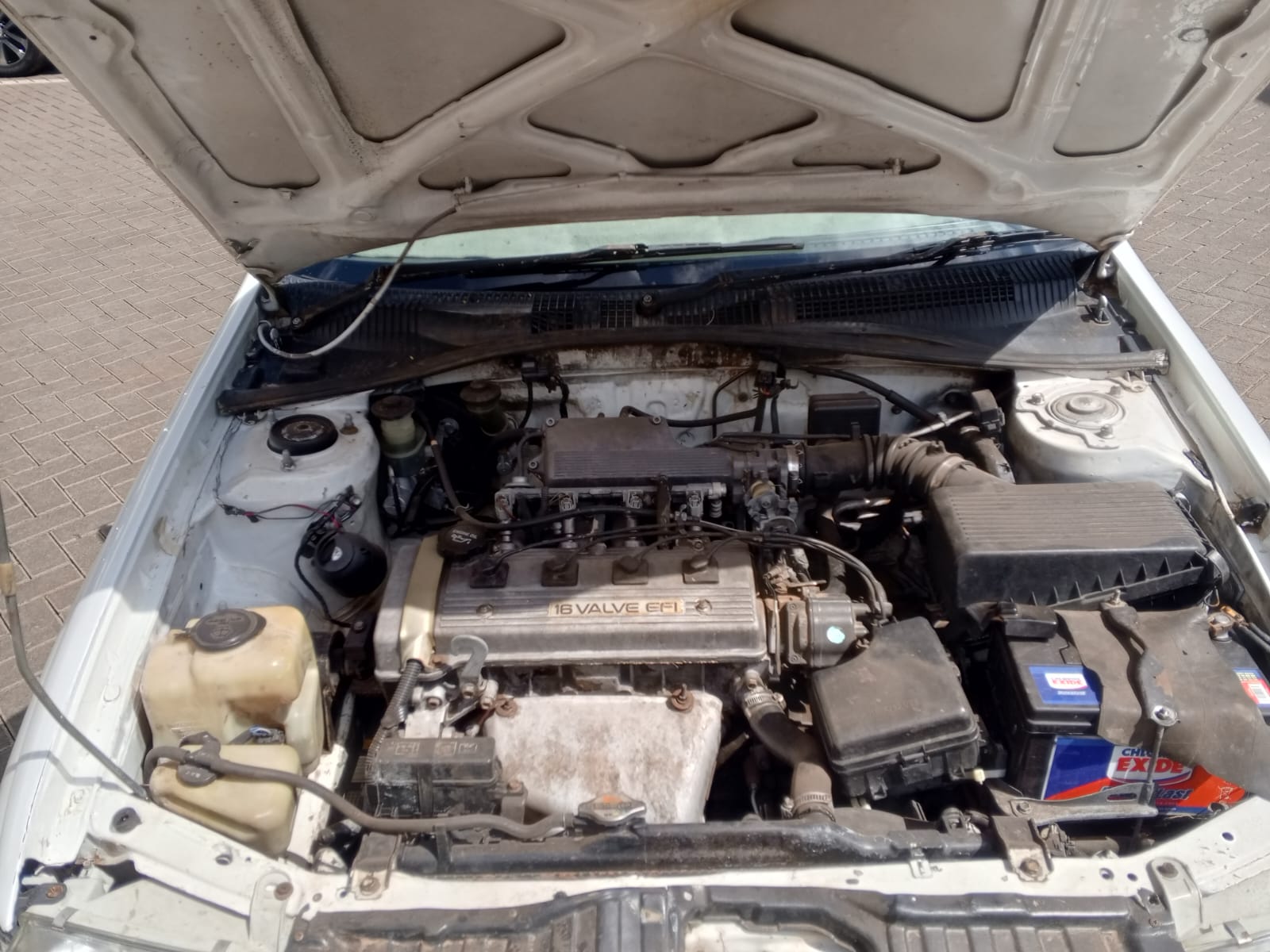 Toyota corona