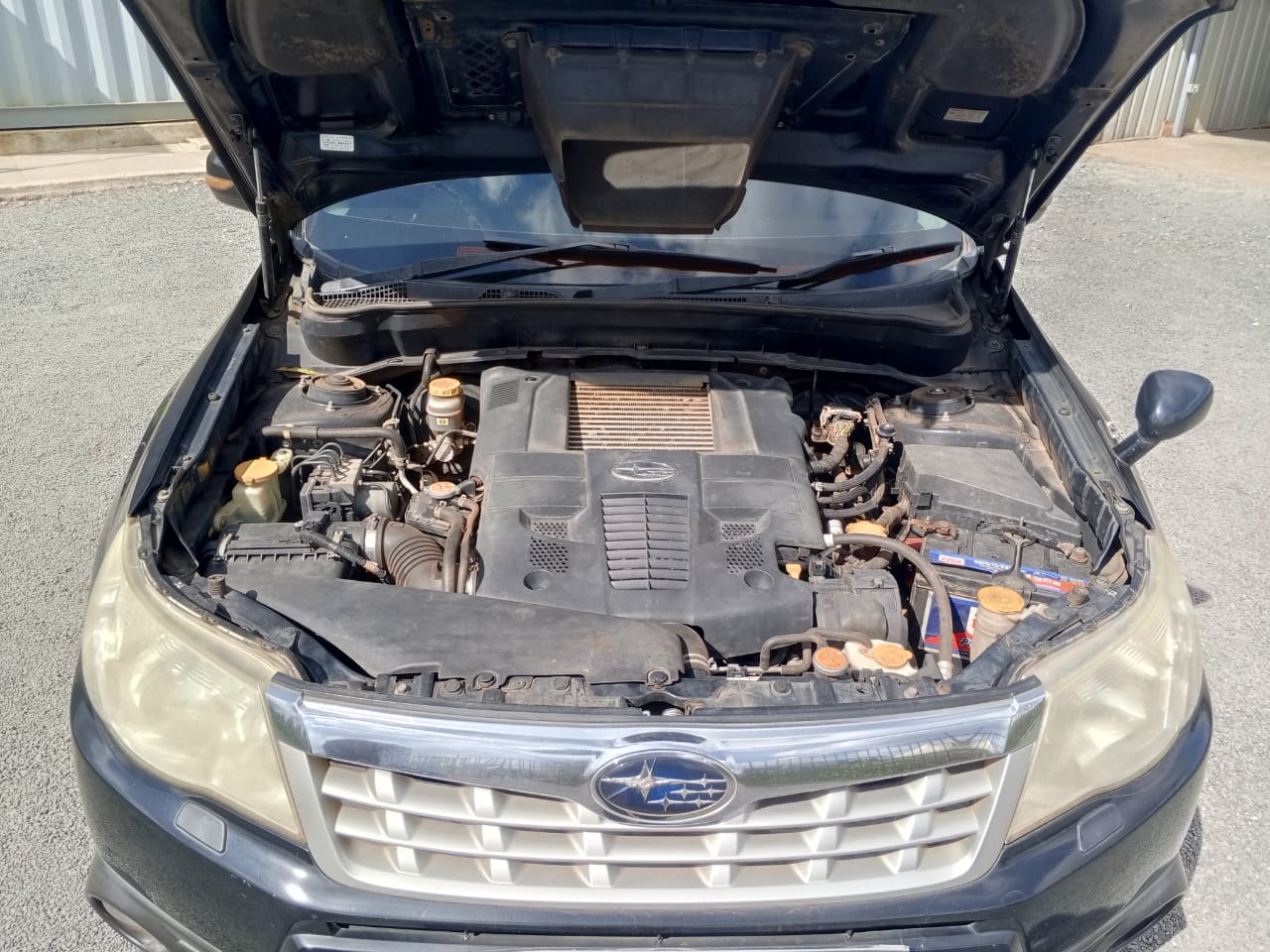 Subaru Forestor XT