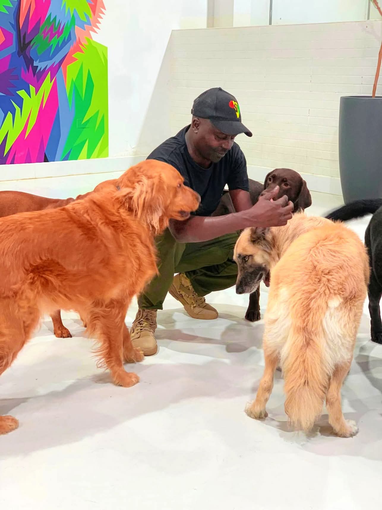Dog training & services