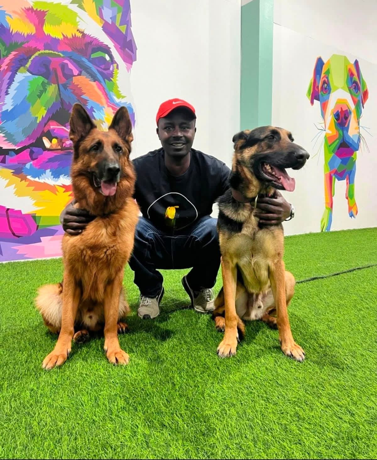 Dog training & services