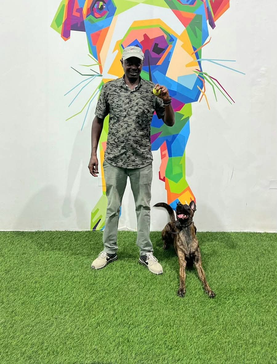 Dog training & services