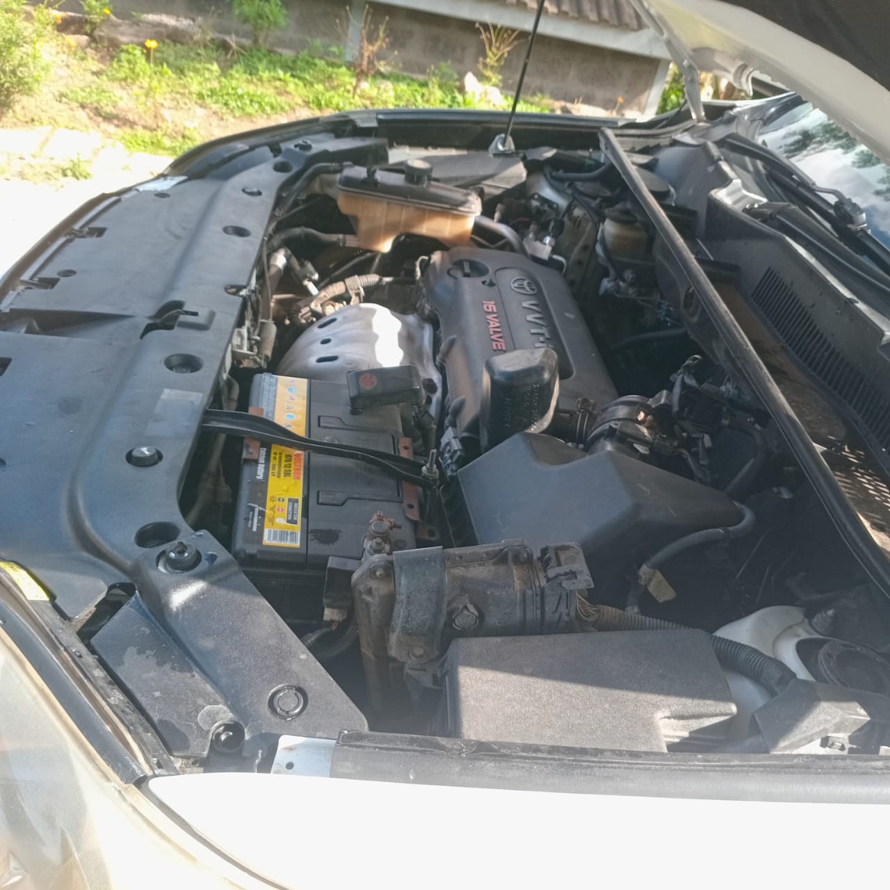 Toyota Vanguard 2009 model