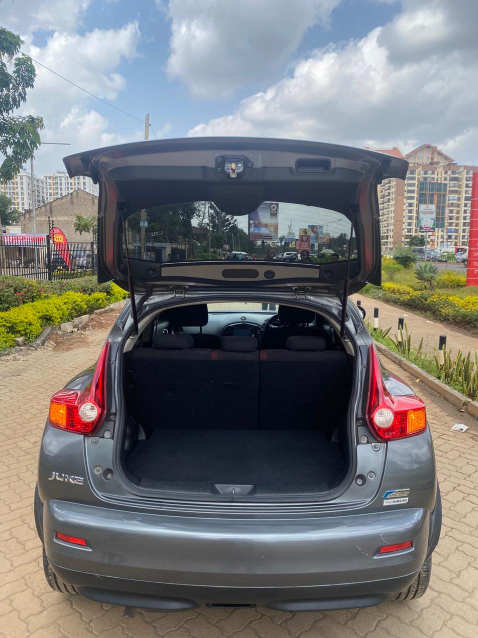 Nissan Juke 2010 model