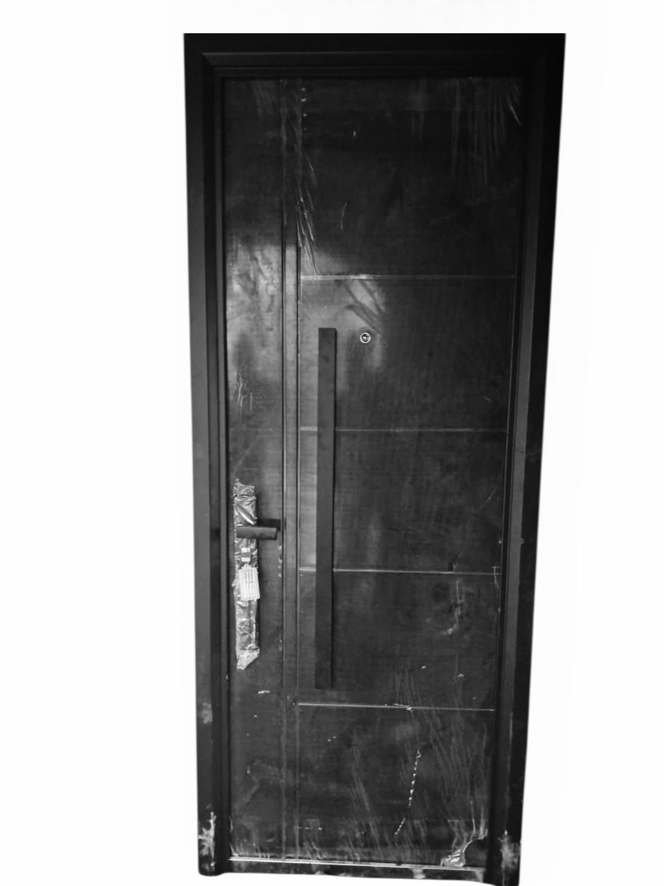 High Quality Imported Steel Door With Handle