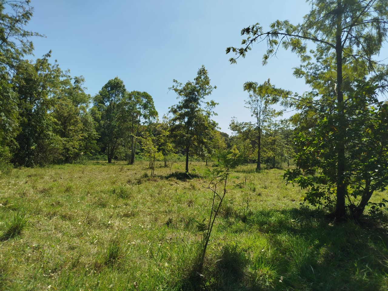 5 acres prime commercial land