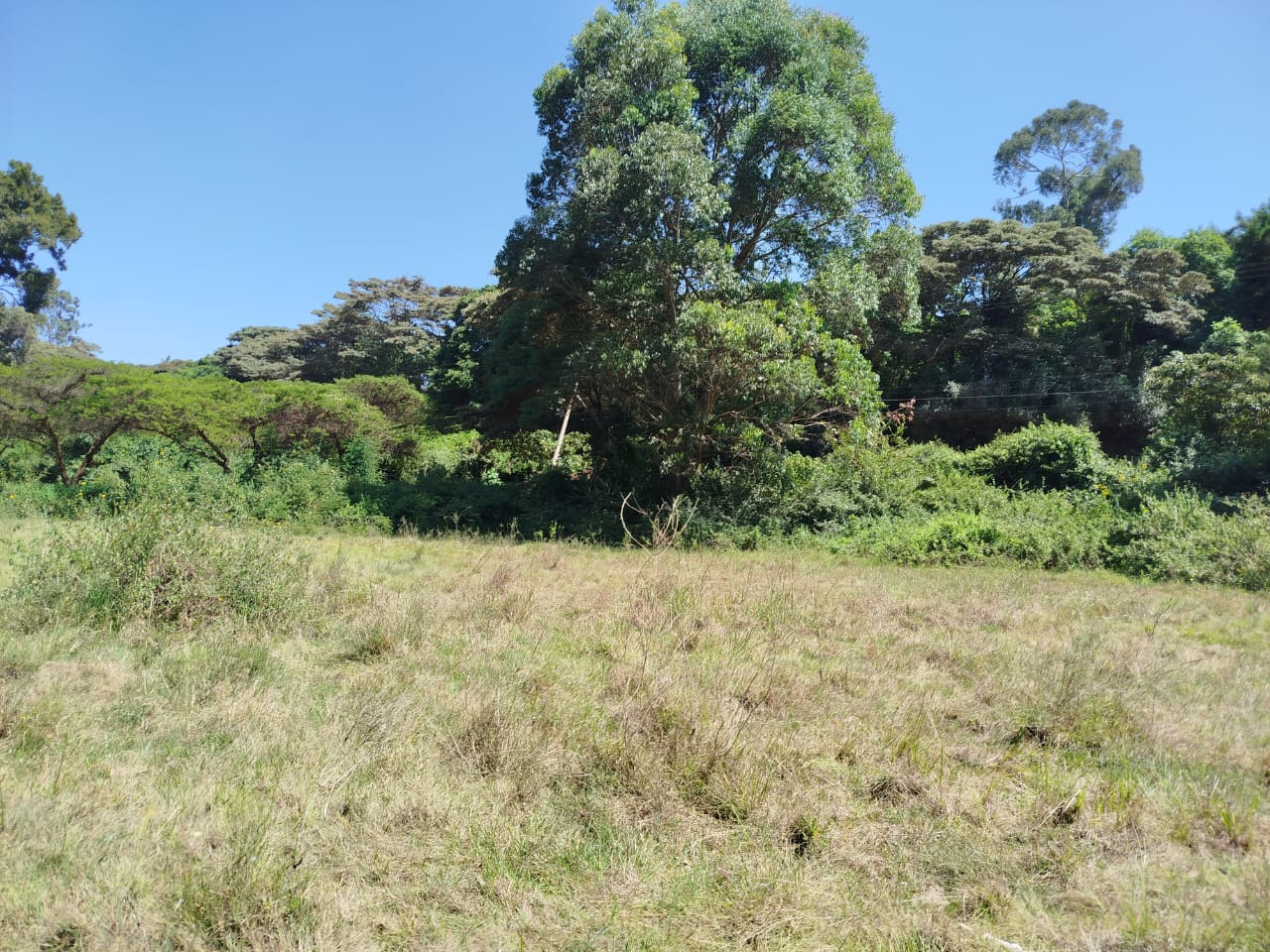 5 acres prime commercial land