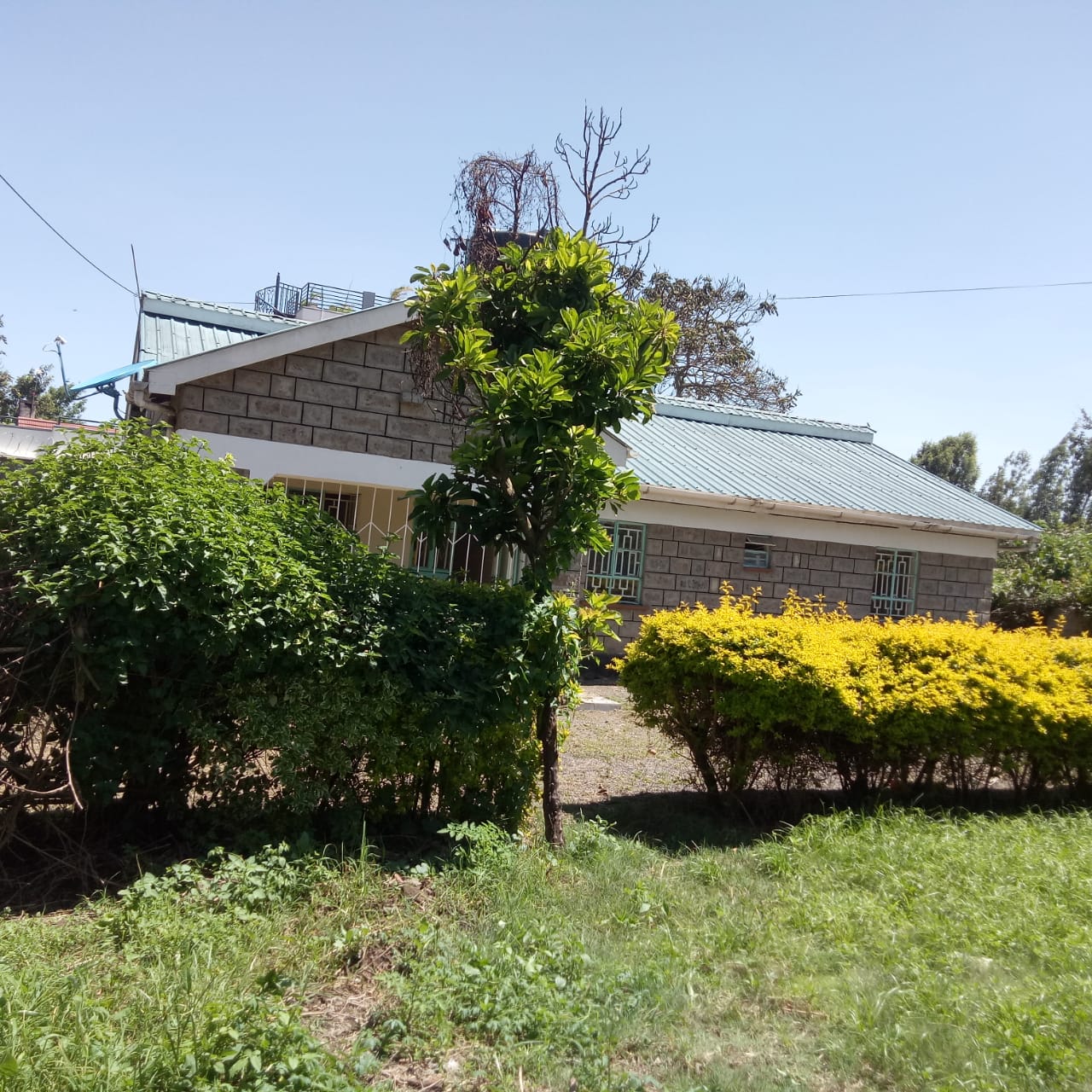 3 bedroom bungalow for rent