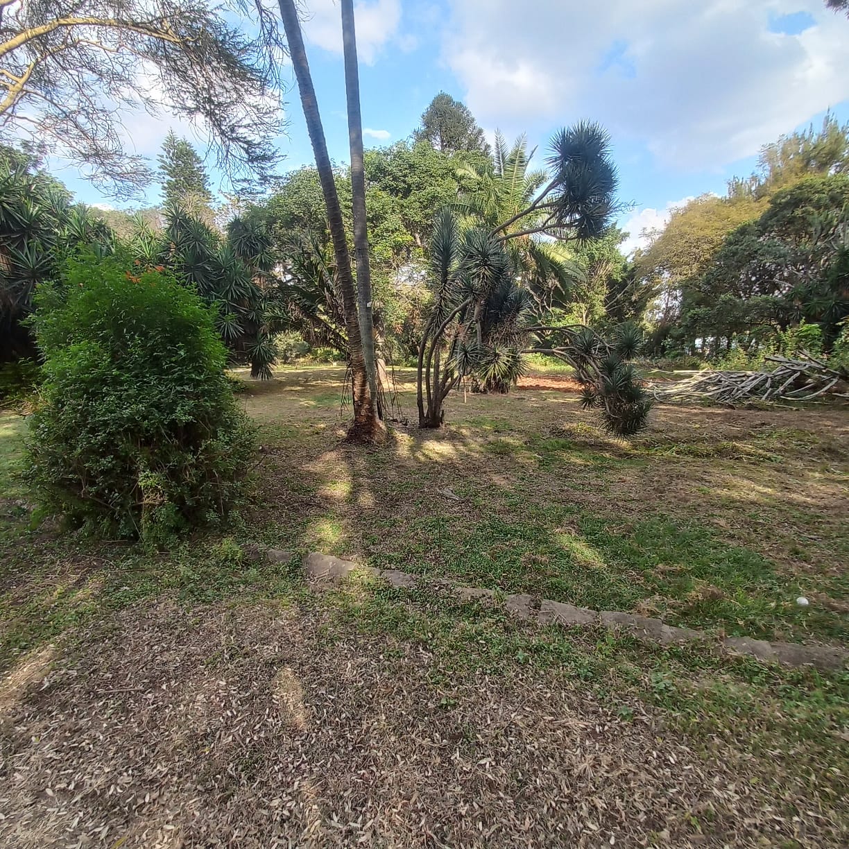 4.9 acre property for sale