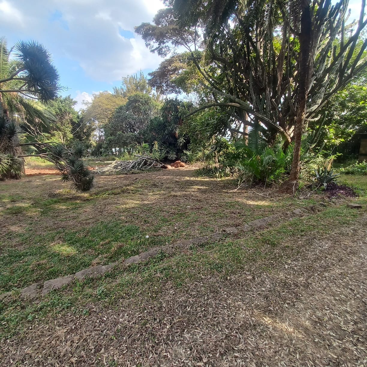 4.9 acre property for sale