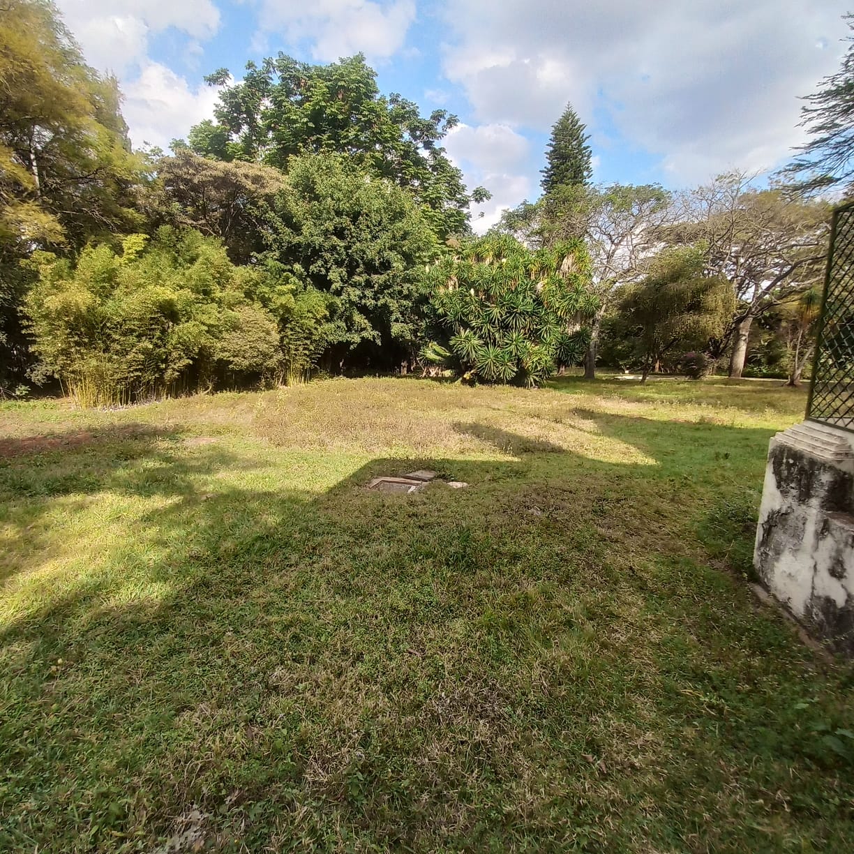 4.9 acre property for sale