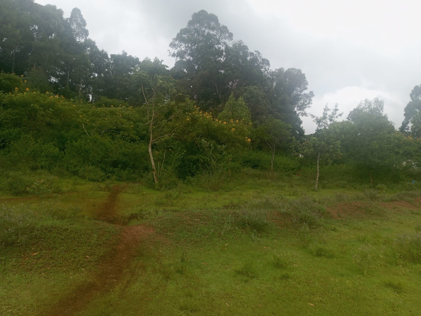 5 acres for sale in Karen