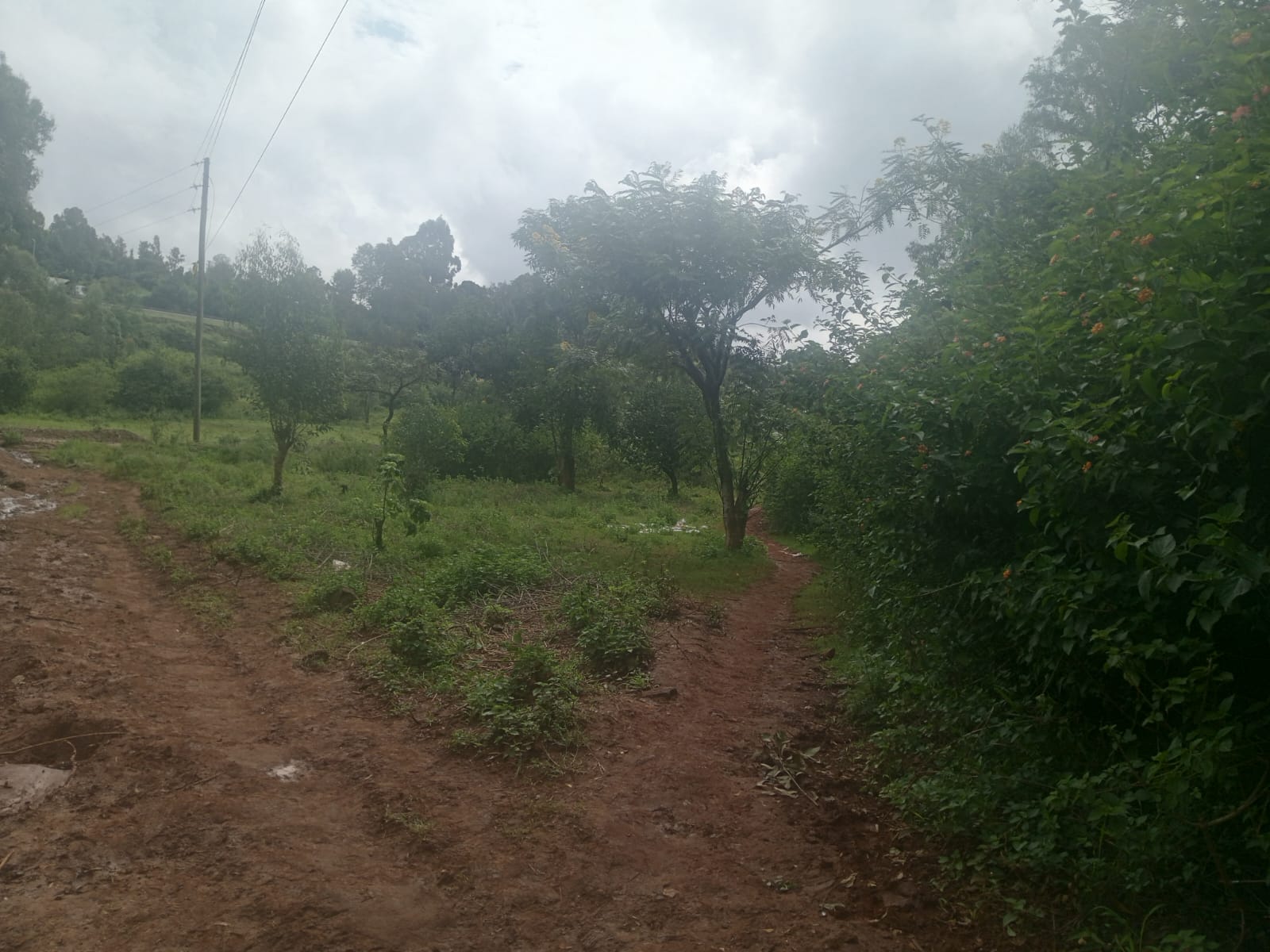 5 acres for sale in Karen