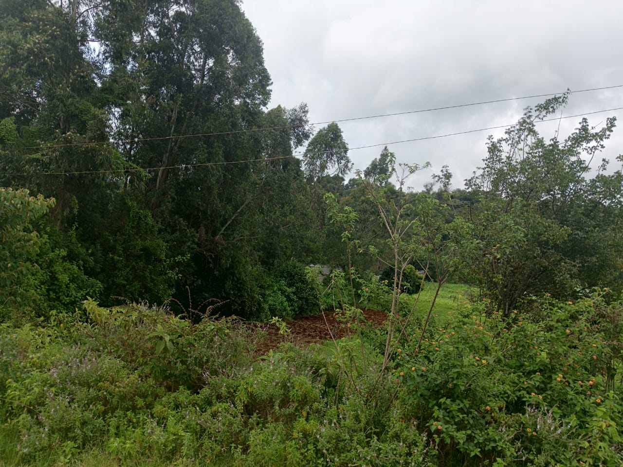 5 acres for sale in Karen