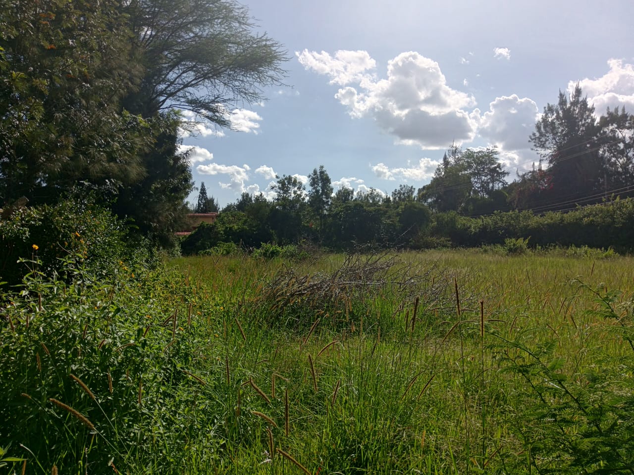 Half acre for sale in Karen