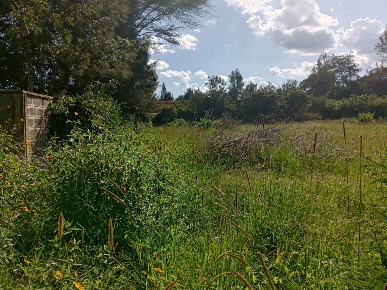 Half acre for sale in Karen