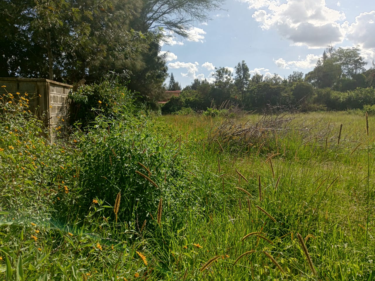 Half acre for sale in Karen