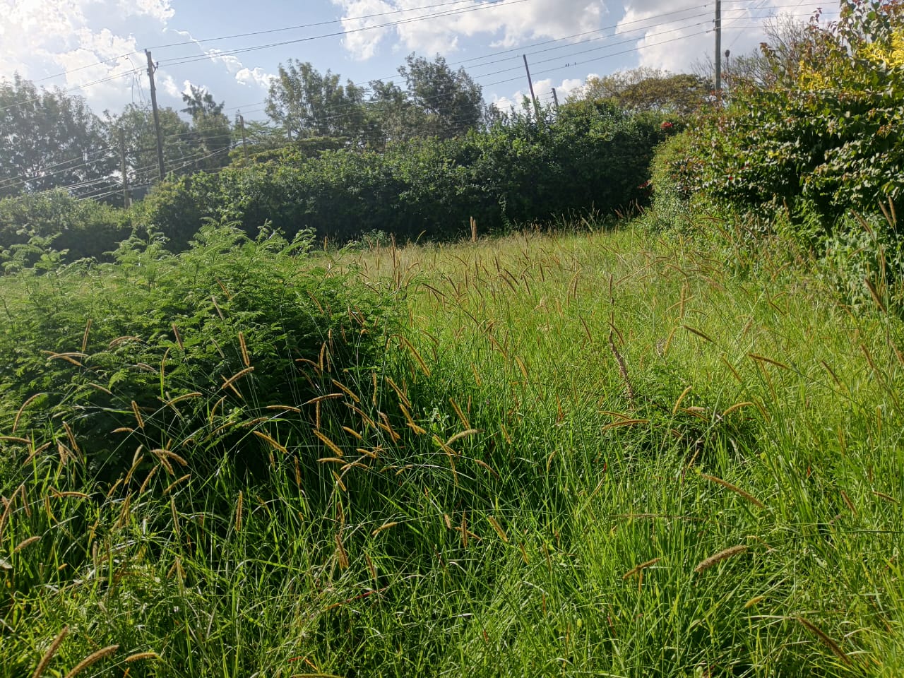 Half acre for sale in Karen