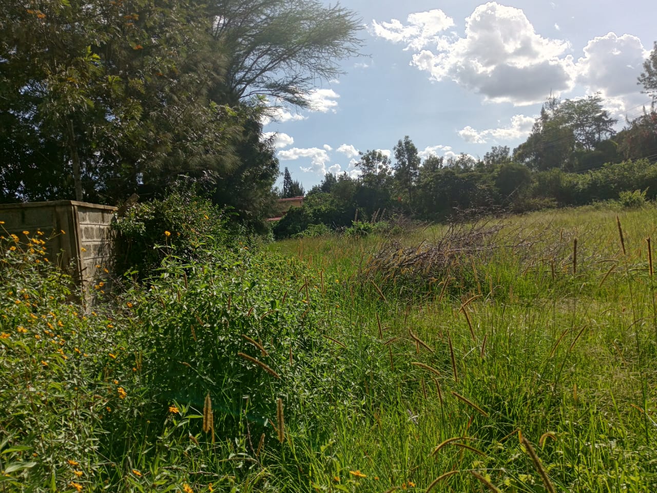 Half acre for sale in Karen