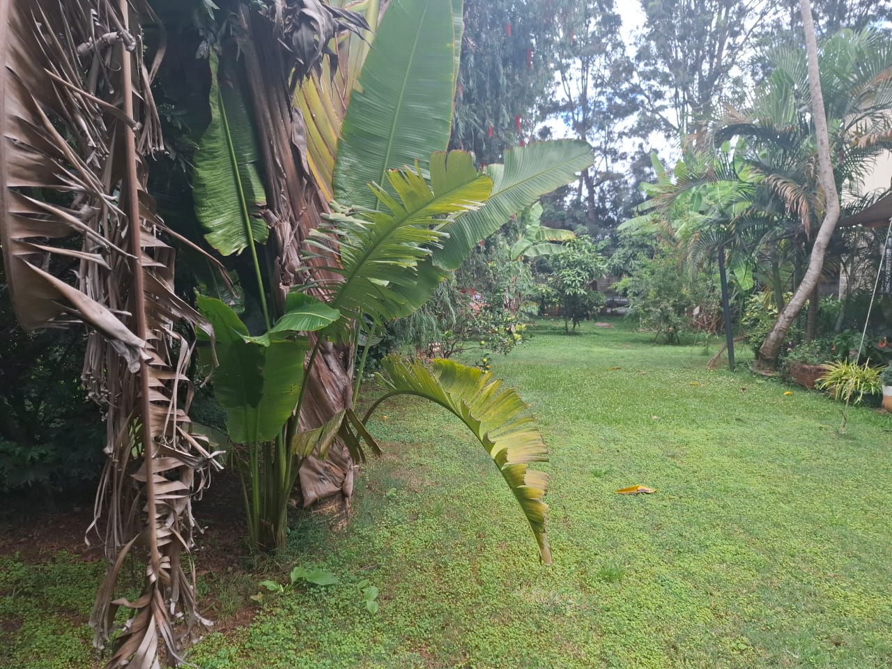 4 bedroom mansionette for rent