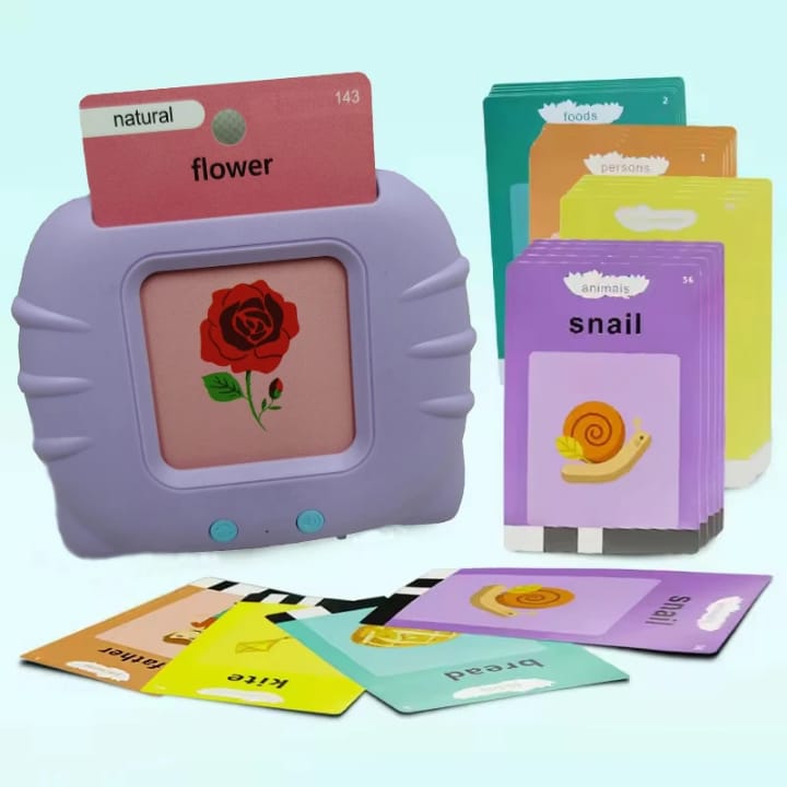 Flash card reader toy
