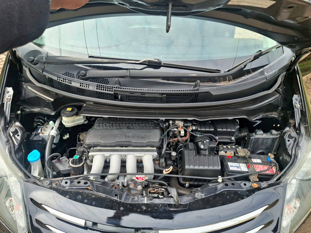 Honda freed 2010 model
