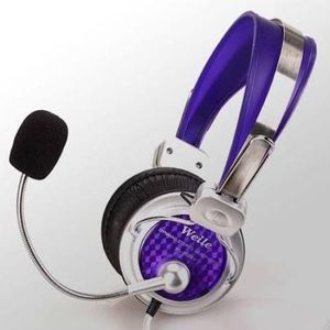 W.Weile headphones