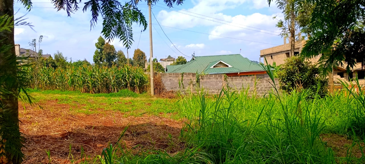 100*100 land in kikuyu thamanda