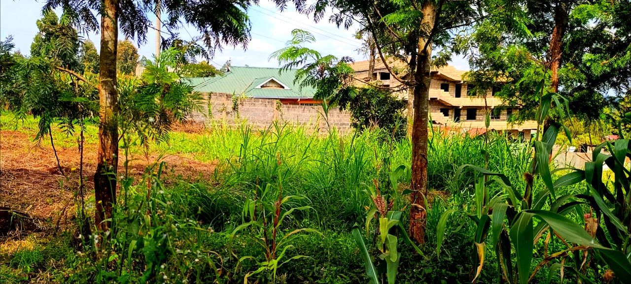 100*100 land in kikuyu thamanda
