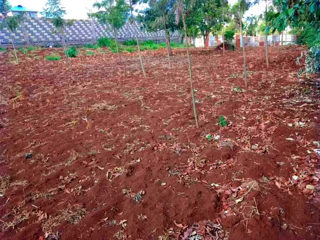 100*100 land in Kikuyu thamanda