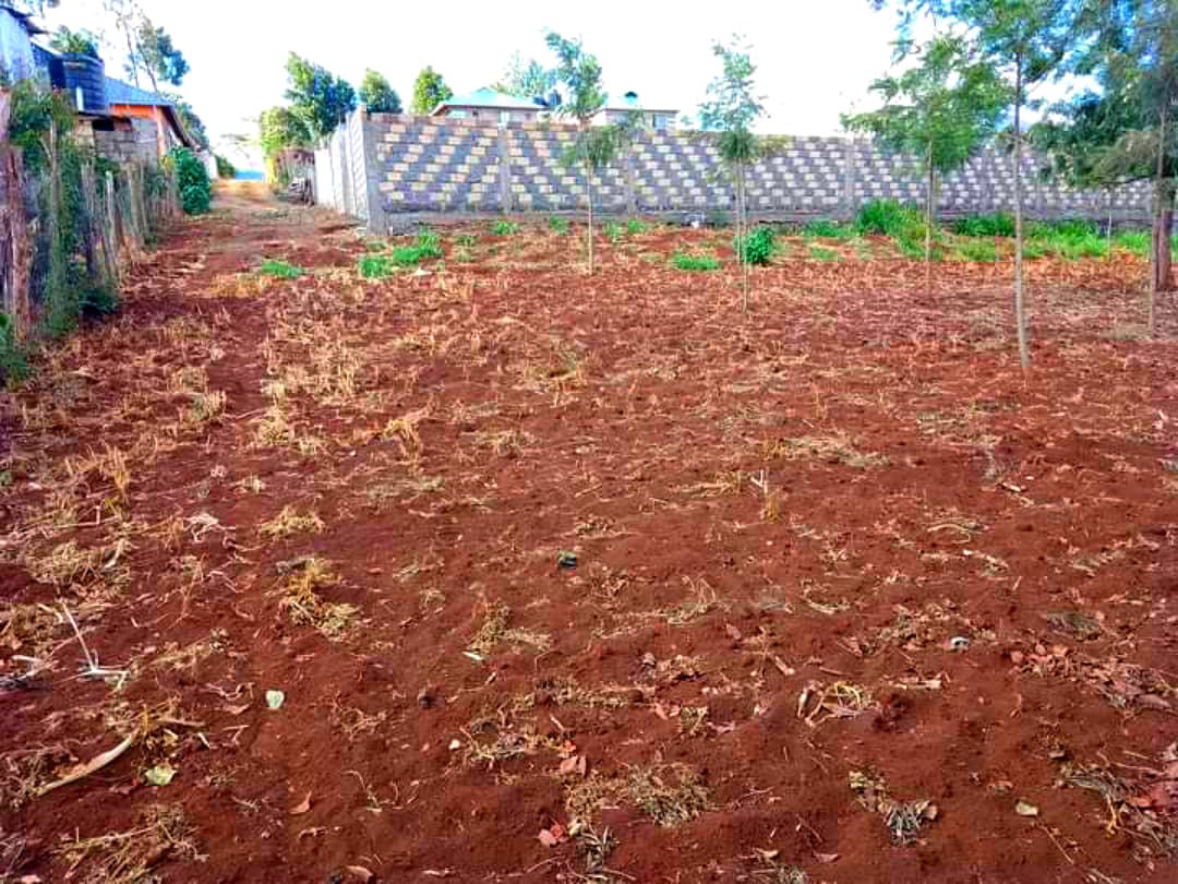 100*100 land in Kikuyu thamanda
