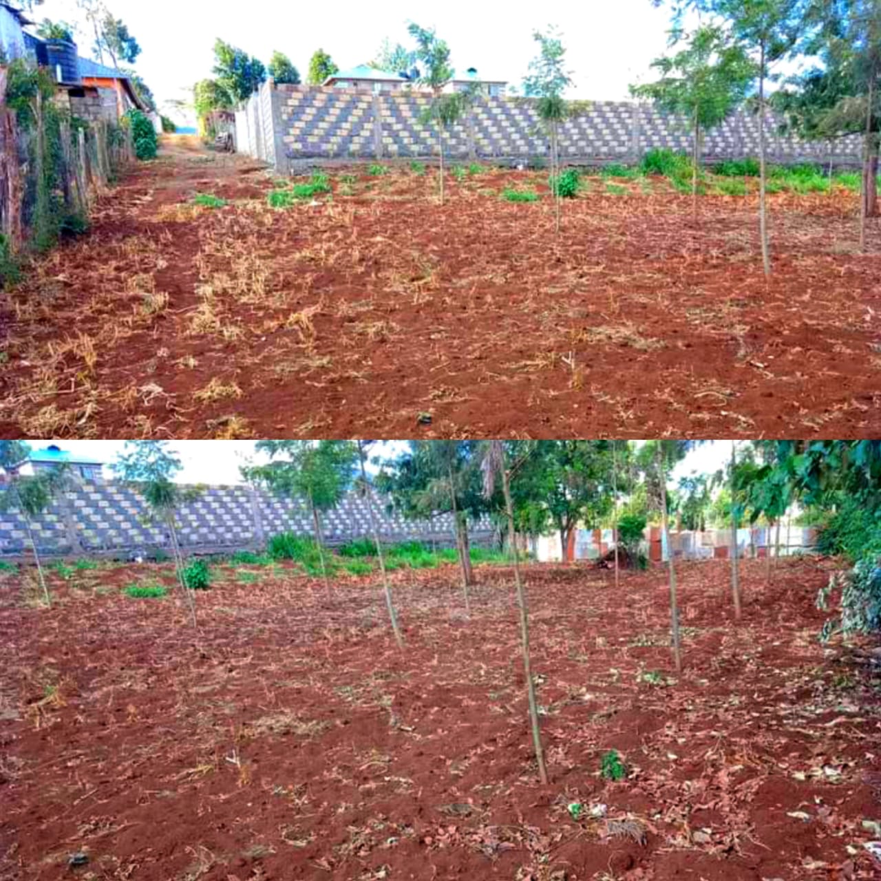 100*100 land in Kikuyu thamanda
