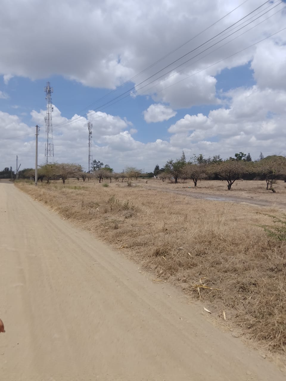 50*100 plots for sale in juja farm