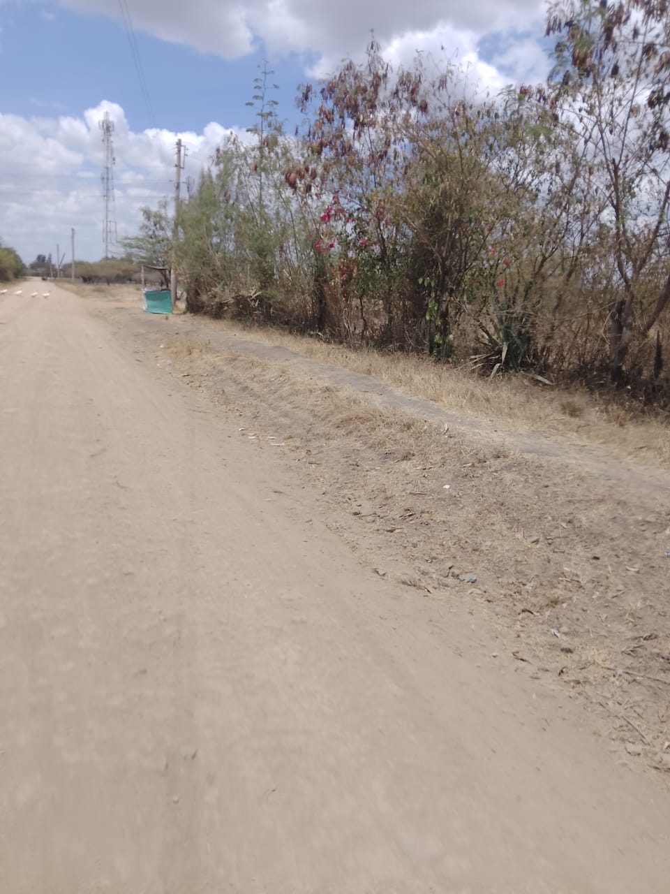 50*100 plots for sale in juja farm