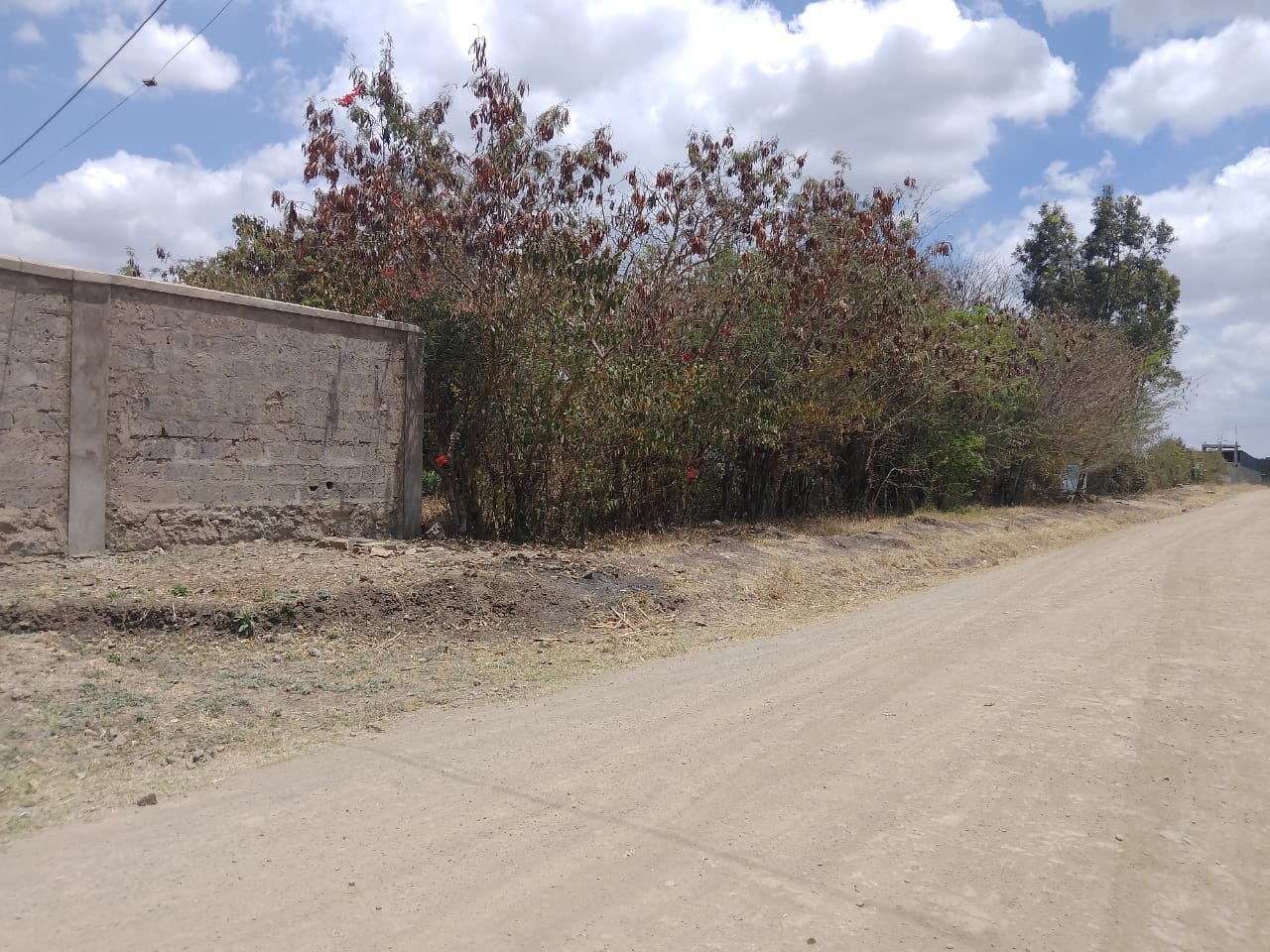 50*100 plots for sale in juja farm