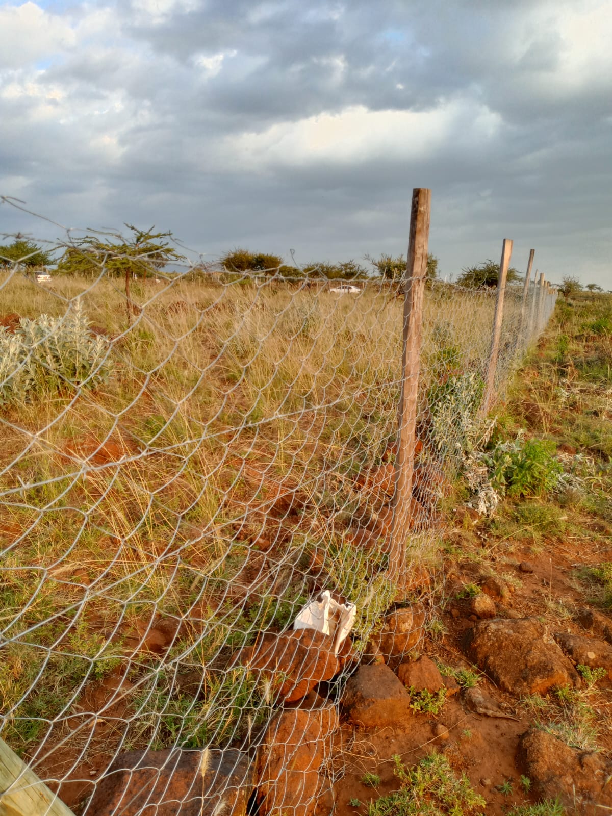 50*100 plots for sale in ngong