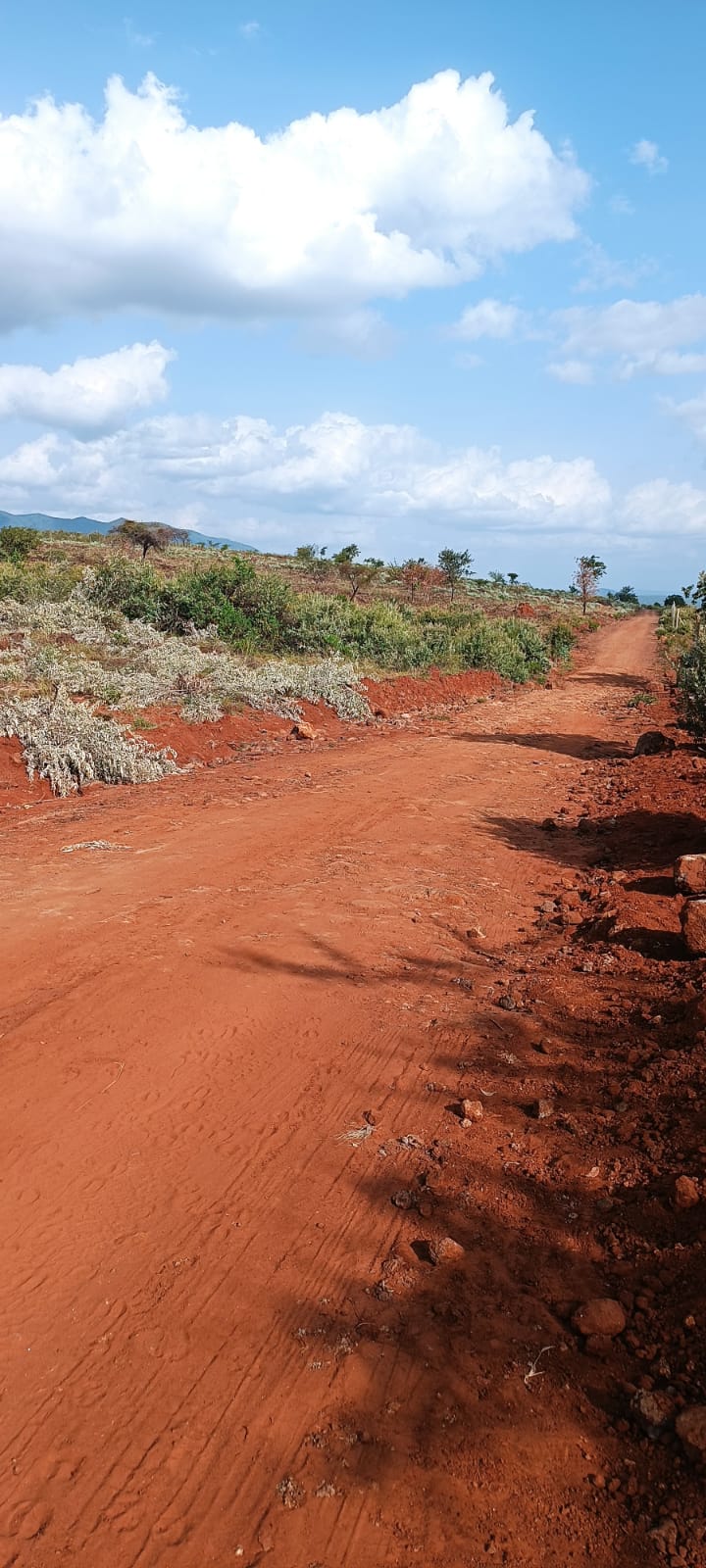 50*100 plots for sale in ngong