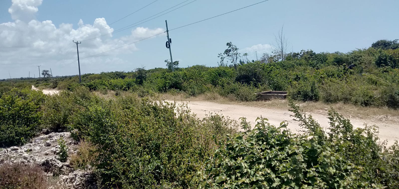 Prime beach plots for sale in malindi