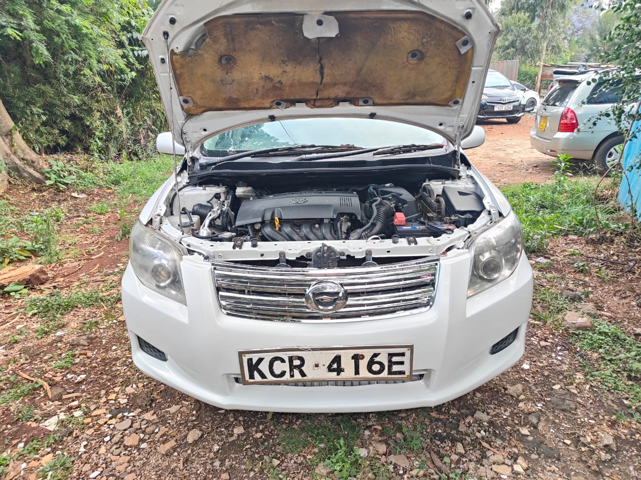 TOYOTA AXIO