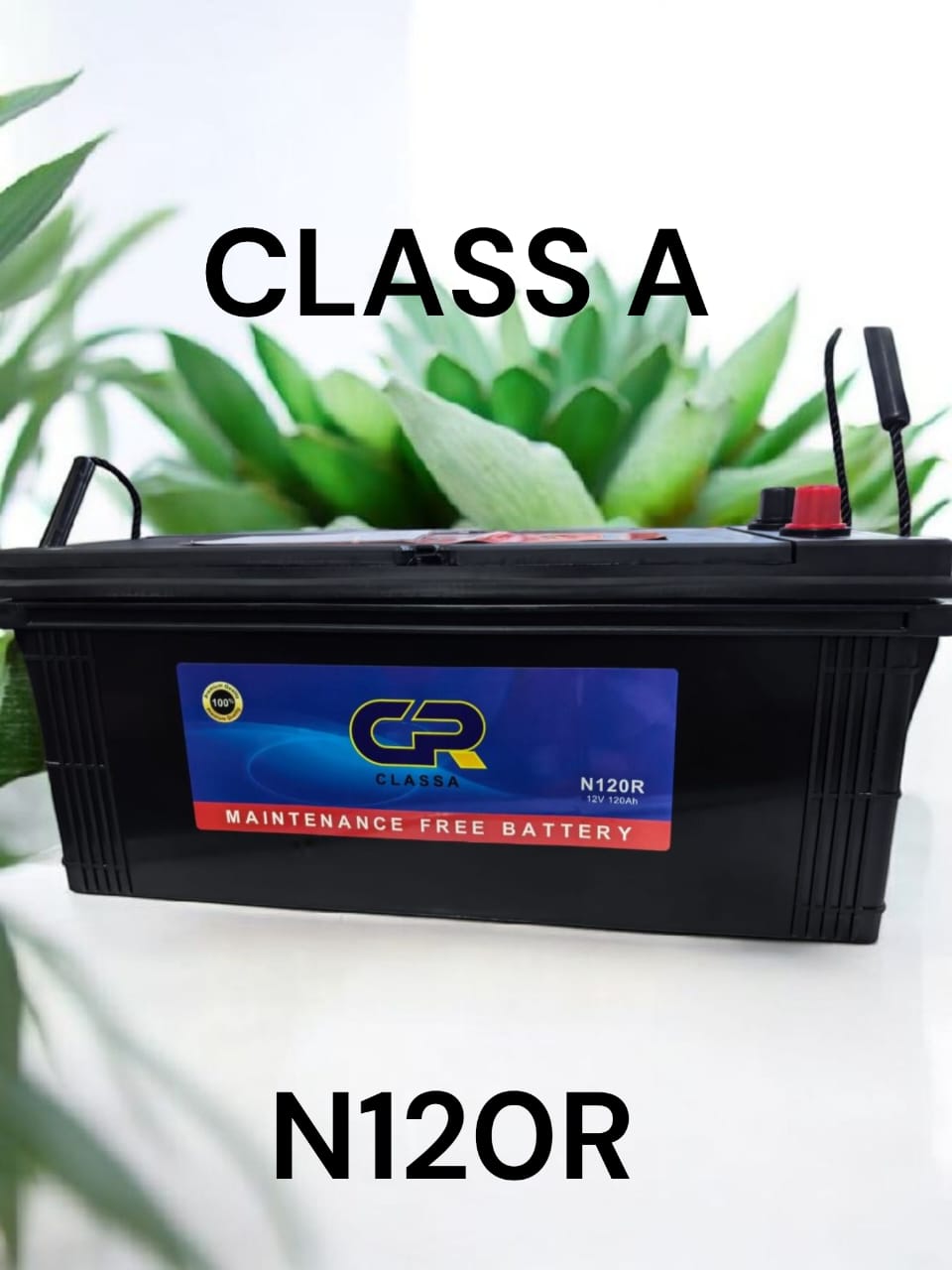 CR N120 battery maintenance