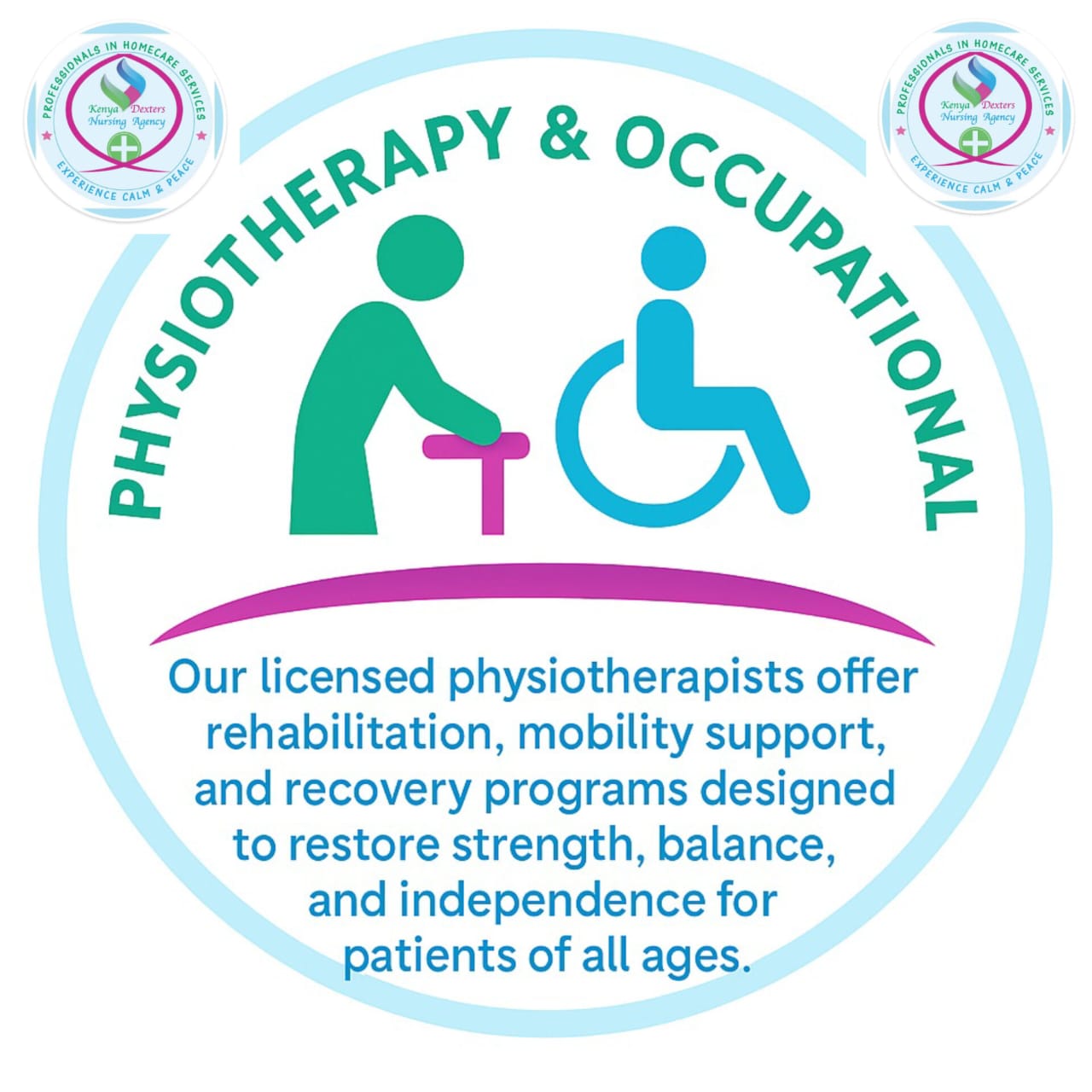 Physiotherapy & occupational therapy services