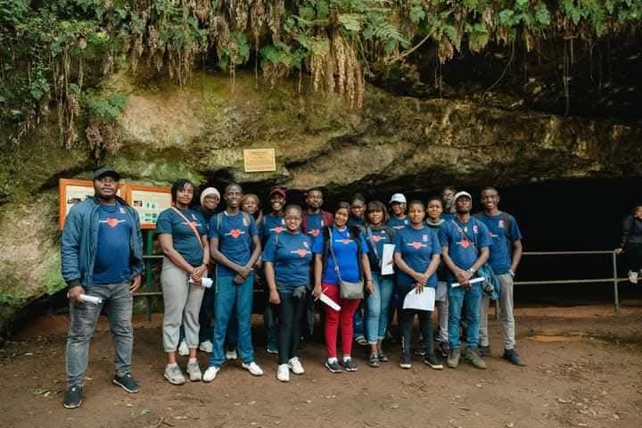 English & literature tutor