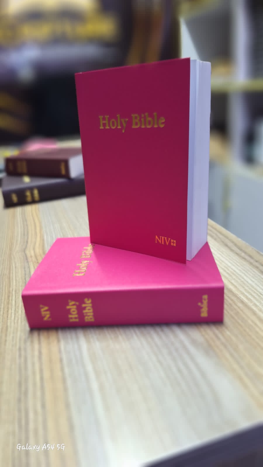 Holy Bible NIV