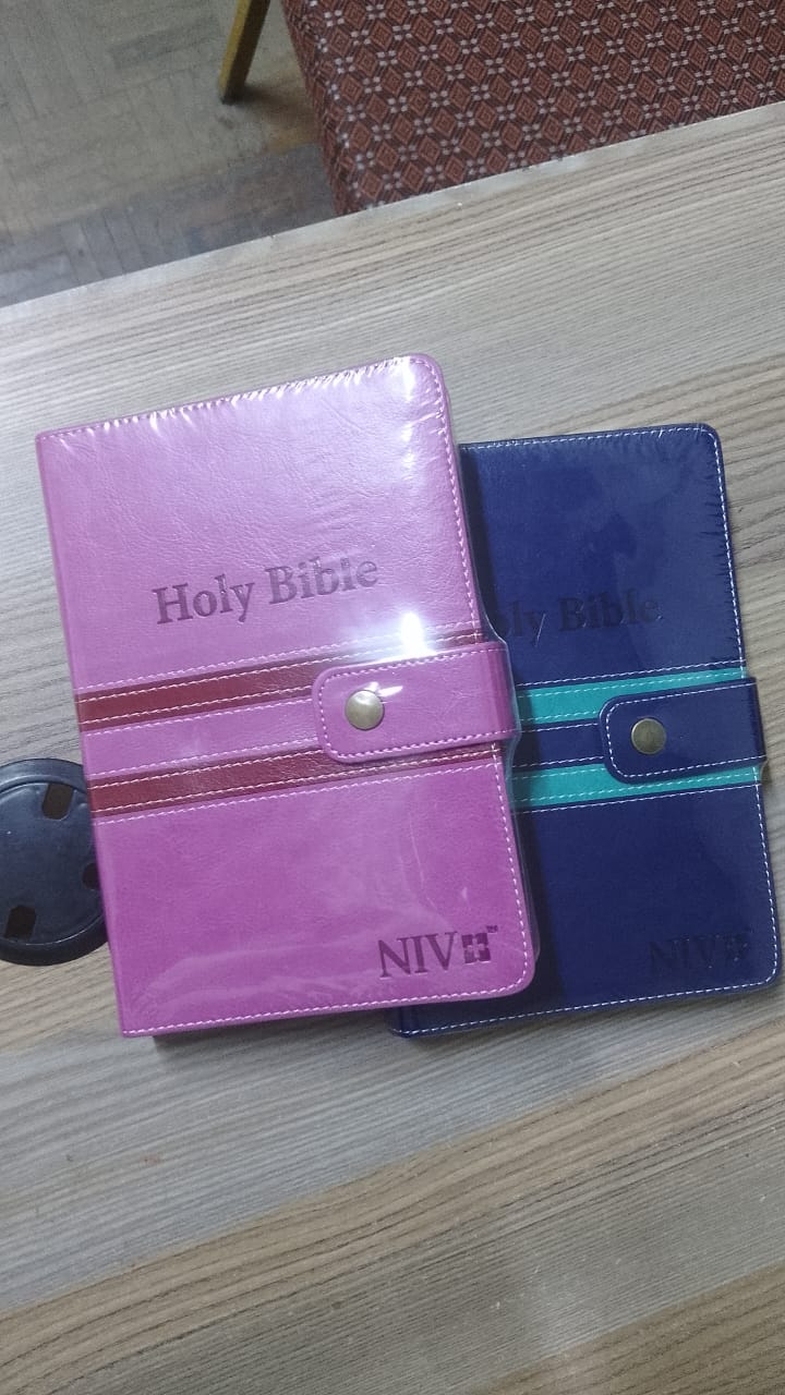 NIV Holy Bible